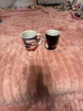 NASCAR Dale Earnhardt Sr. #3 The Intimidator Coffee Mug Lot of 2